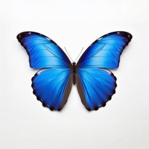 Mariposa azul símbolo del método Wingwave